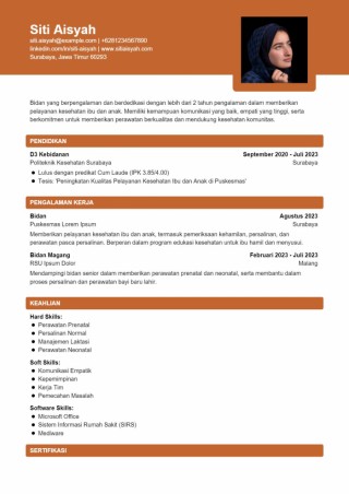Contoh CV Bidan PDF