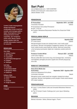 Contoh CV Content Creator