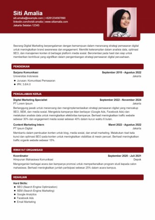 Contoh CV Digital Marketing Bahasa Indonesia