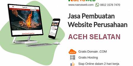 Jasa Pembuatan Website Aceh Selatan 2 Hari Online