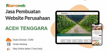 Jasa Bikin Website Aceh Tenggara Termurah Rp 495 ribu