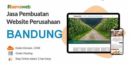 Jasa Bikin Website Bandung Profesional
