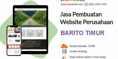 Jasa Pembuatan Website Barito Timur Kalimantan Tengah Gratis Domain