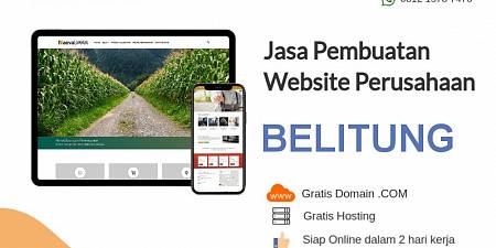 Jasa Bikin Website Belitung Kepulauan Bangka Belitung 2 Hari Online