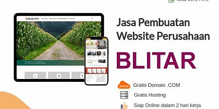 Jasa Bikin Website Blitar Jawa Timur 2 Hari Online