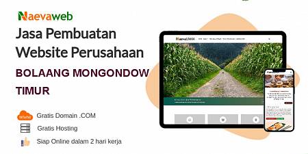 Jasa Buat Website Bolaang Mongondow Timur Biaya Rp 495.000