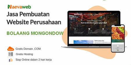 Jasa Pembuatan Website Bolaang Mongondow Harga Rp 495 ribu