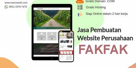 Jasa Buat Website Murah Fakfak Harga Rp 495 ribu