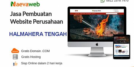 Jasa Bikin Website Halmahera Tengah Free Domain