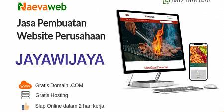 Jasa Pembuatan Website Jayawijaya 2 Hari Online