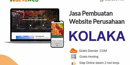 Jasa Buat Website Kolaka Sulawesi Tenggara Gratis Domain
