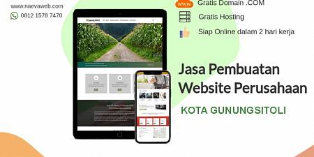 Jasa Bikin Website Kota Gunungsitoli Termurah