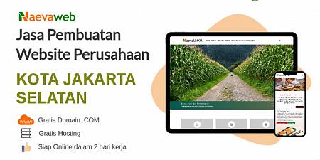 Jasa Pembuatan Website Kota Jakarta Selatan 2 Hari Online