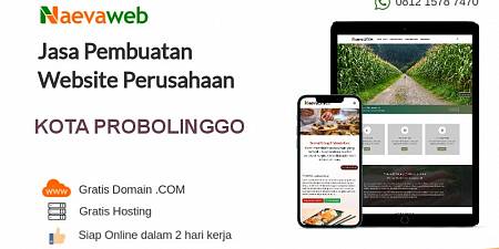 2 Hari Online! Jasa Pembuatan Website Murah Probolinggo