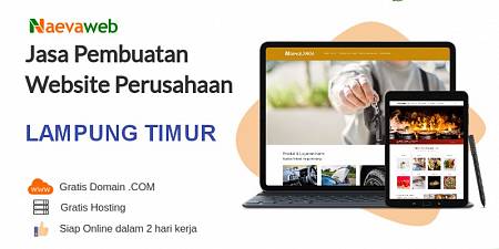 Jasa Buat Website Lampung Timur Harga Rp 250 ribu