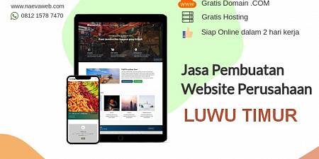 Jasa Buat Website Murah Luwu Timur Sulawesi Selatan Free Domain