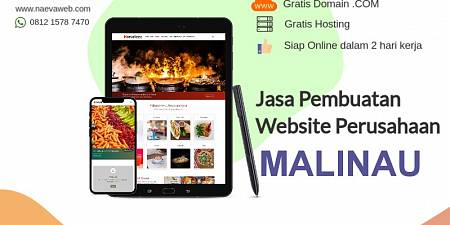 Jasa Pembuatan Website Murah Malinau Biaya Rp 495.000
