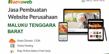 Jasa Buat Website Maluku Tenggara Barat 2 Hari Jadi