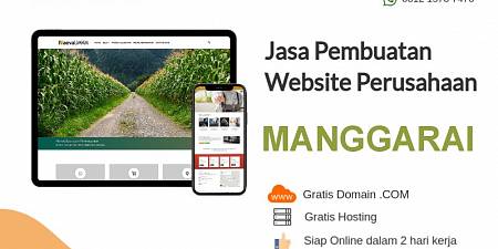 Jasa Buat Website Murah Manggarai Gratis Domain