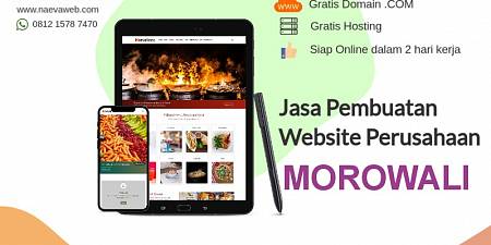 Jasa Bikin Website Morowali Sulawesi Tengah 2 Hari Online