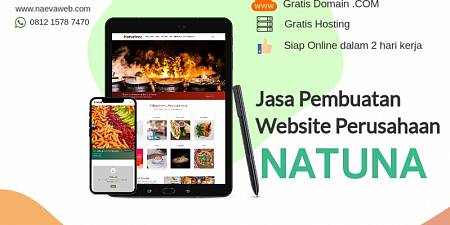2 Hari Jadi! Jasa Pembuatan Website Murah Natuna Kepulauan Riau