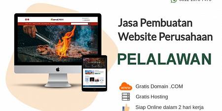 Free Domain! Jasa Pembuatan Website Murah Pelalawan Riau