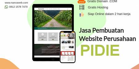 Jasa Buat Website Murah Pidie Aceh Harga Rp 250 ribu