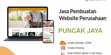 Jasa Buat Website Murah Puncak Jaya 2 Hari Online