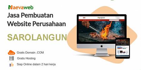 Jasa Buat Website Sarolangun 2 Hari Online