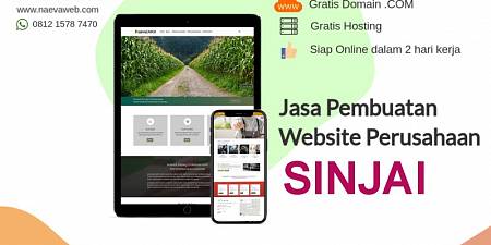 Jasa Buat Website Murah Sinjai Termurah Rp 250 ribu
