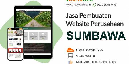Jasa Buat Website Sumbawa Profesional