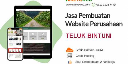 Free Domain! Jasa Pembuatan Website Murah Teluk Bintuni