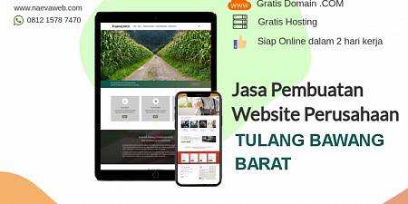 Jasa Pembuatan Website Tulang Bawang Barat Lampung Free Domain