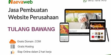 Jasa Pembuatan Website Murah Tulang Bawang Lampung 2 Hari Jadi